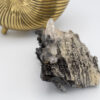 Black Tourmaline & Quartz Cluster 2 - Image 3