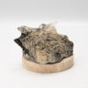 Black Tourmaline & Quartz Cluster 2 - Image 8