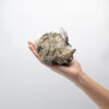 Black Tourmaline & Quartz Cluster 2