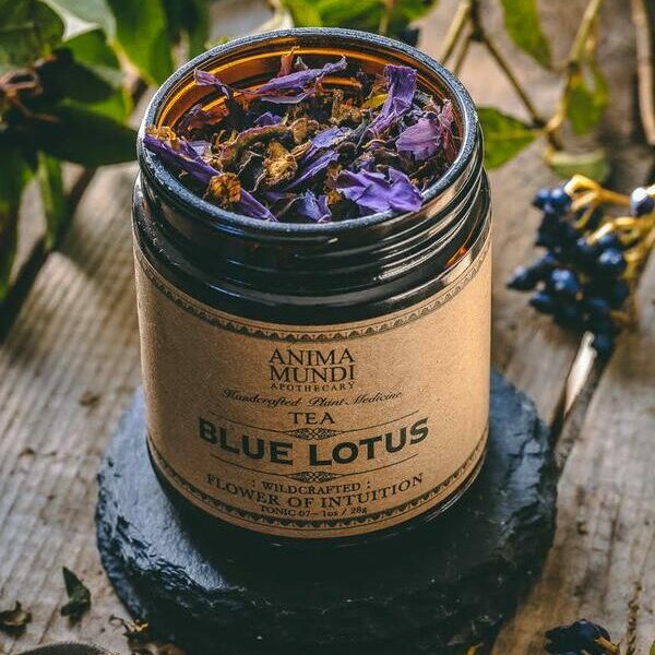 blue-lotus-tea-600×684