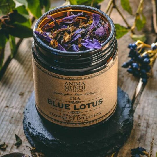 Blue Lotus Flower of Intuition Tea