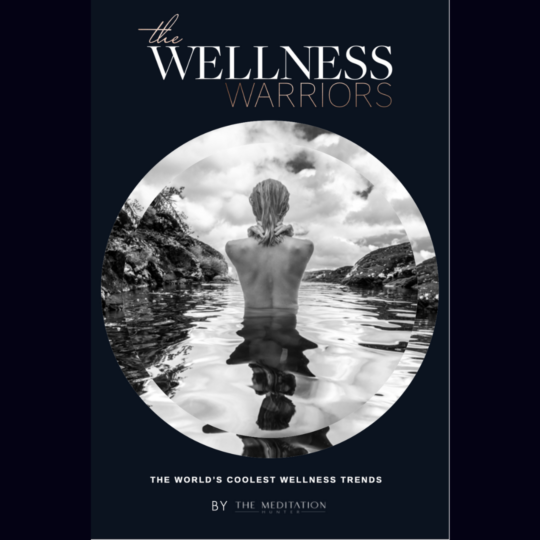 The Wellness Warriors eBook